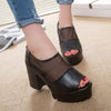 Wedge Platform Sexy High Heels Shoes