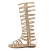 Knee High Gladiator Hollow Sandal